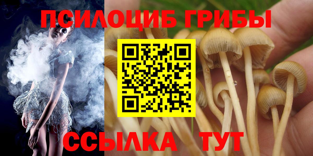 Псилоцибиновые грибы GOLDEN TEACHER Назрань
