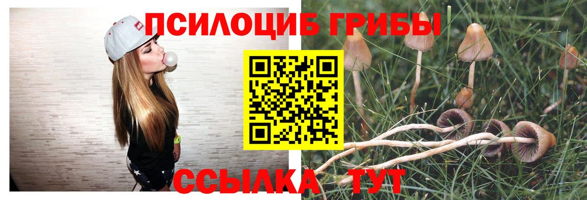 Псилоцибиновые грибы GOLDEN TEACHER  Вход с VPN  Галлюциногенные грибы MAGIC MUSHROOMS  Назрань 